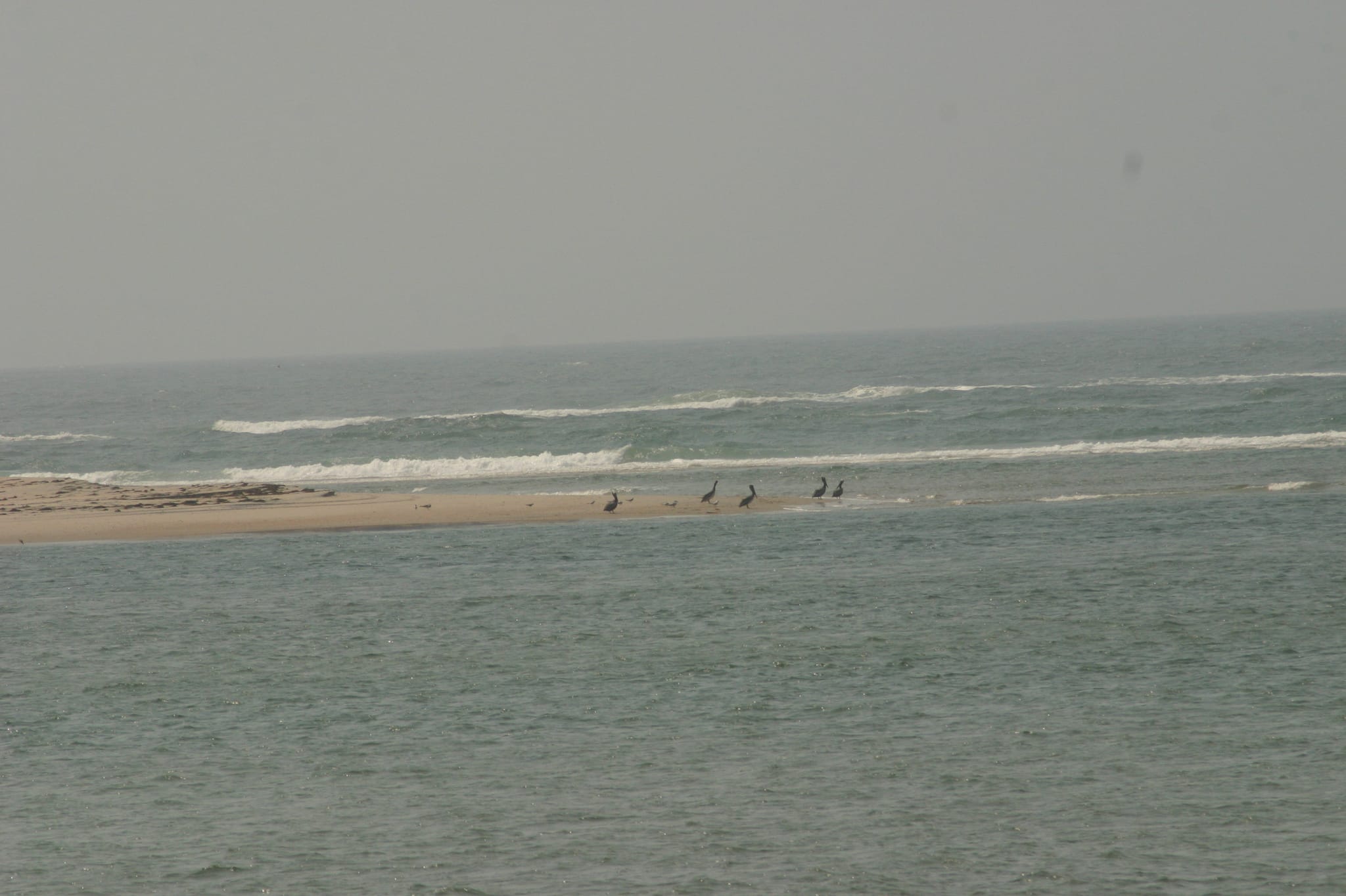 Ocracoke Island Day Excursion 036