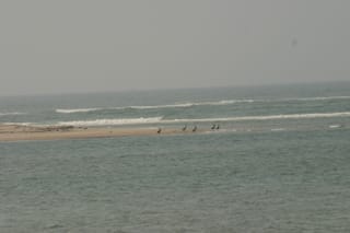 Ocracoke Island Day Excursion 036