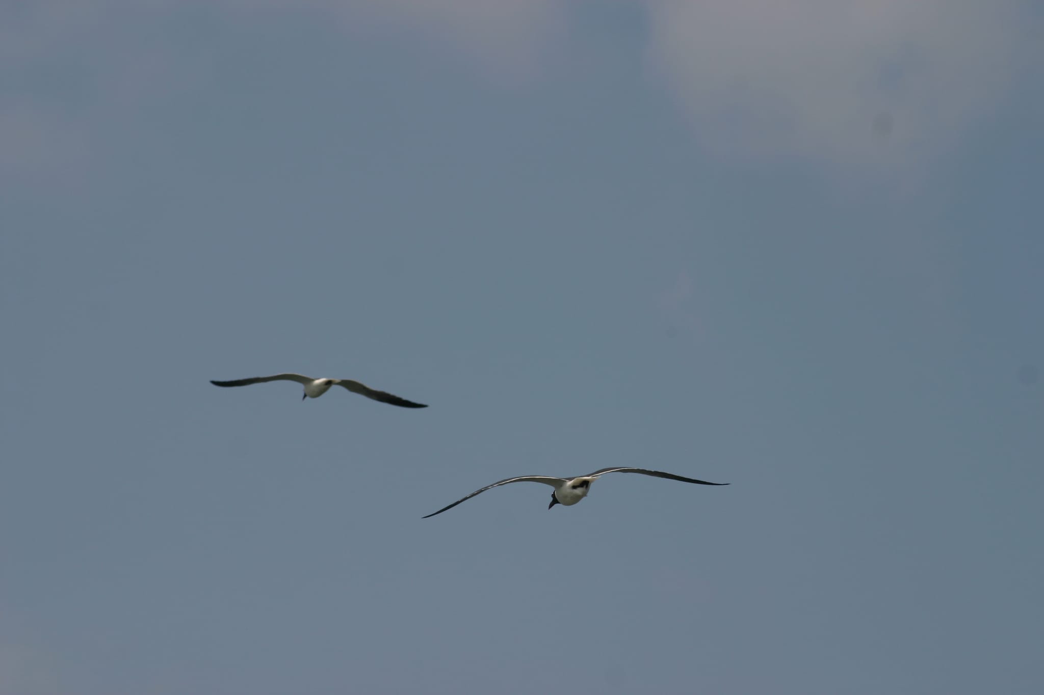 Ocracoke Island Day Excursion 051