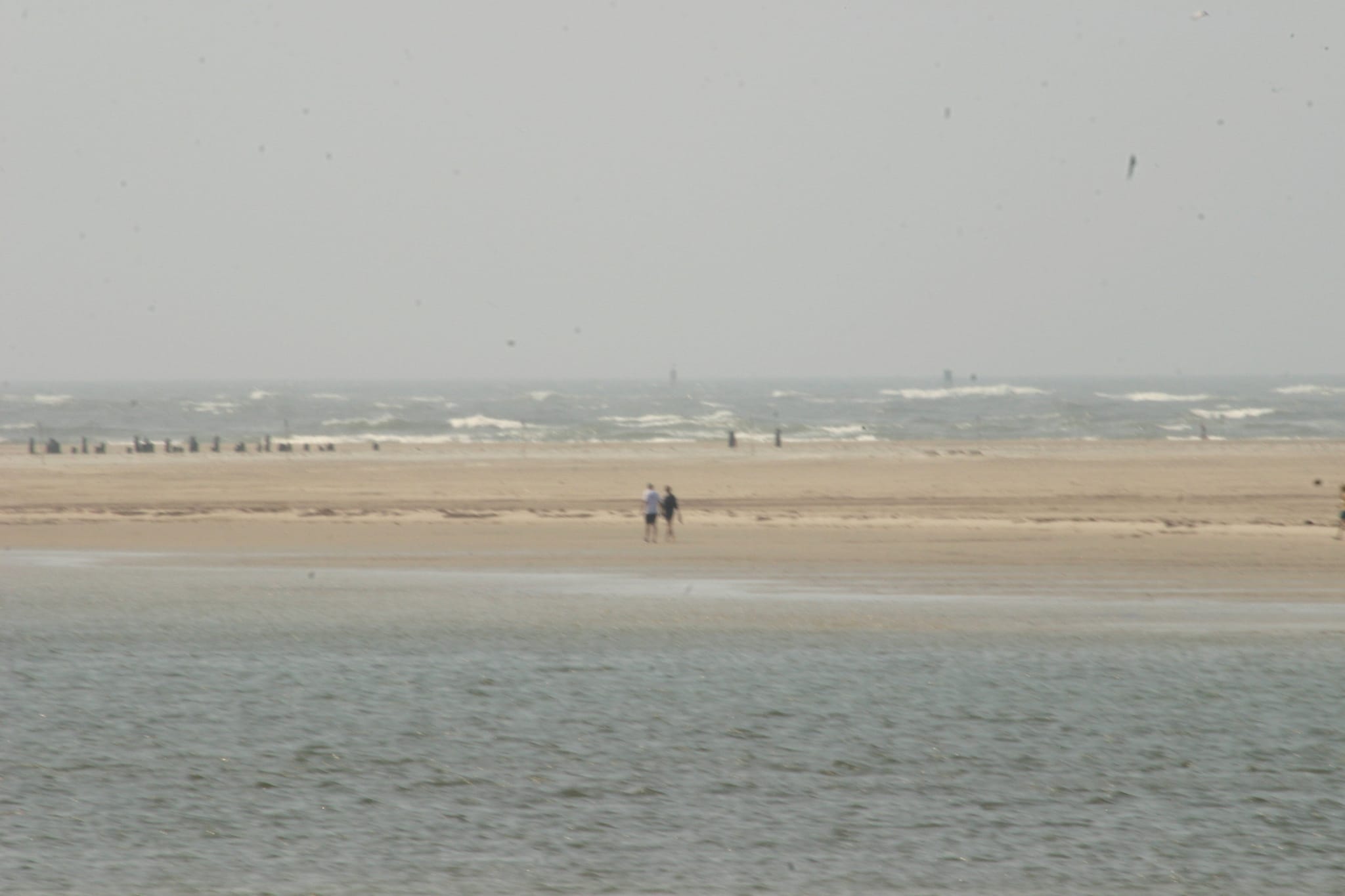 Ocracoke Island Day Excursion 056