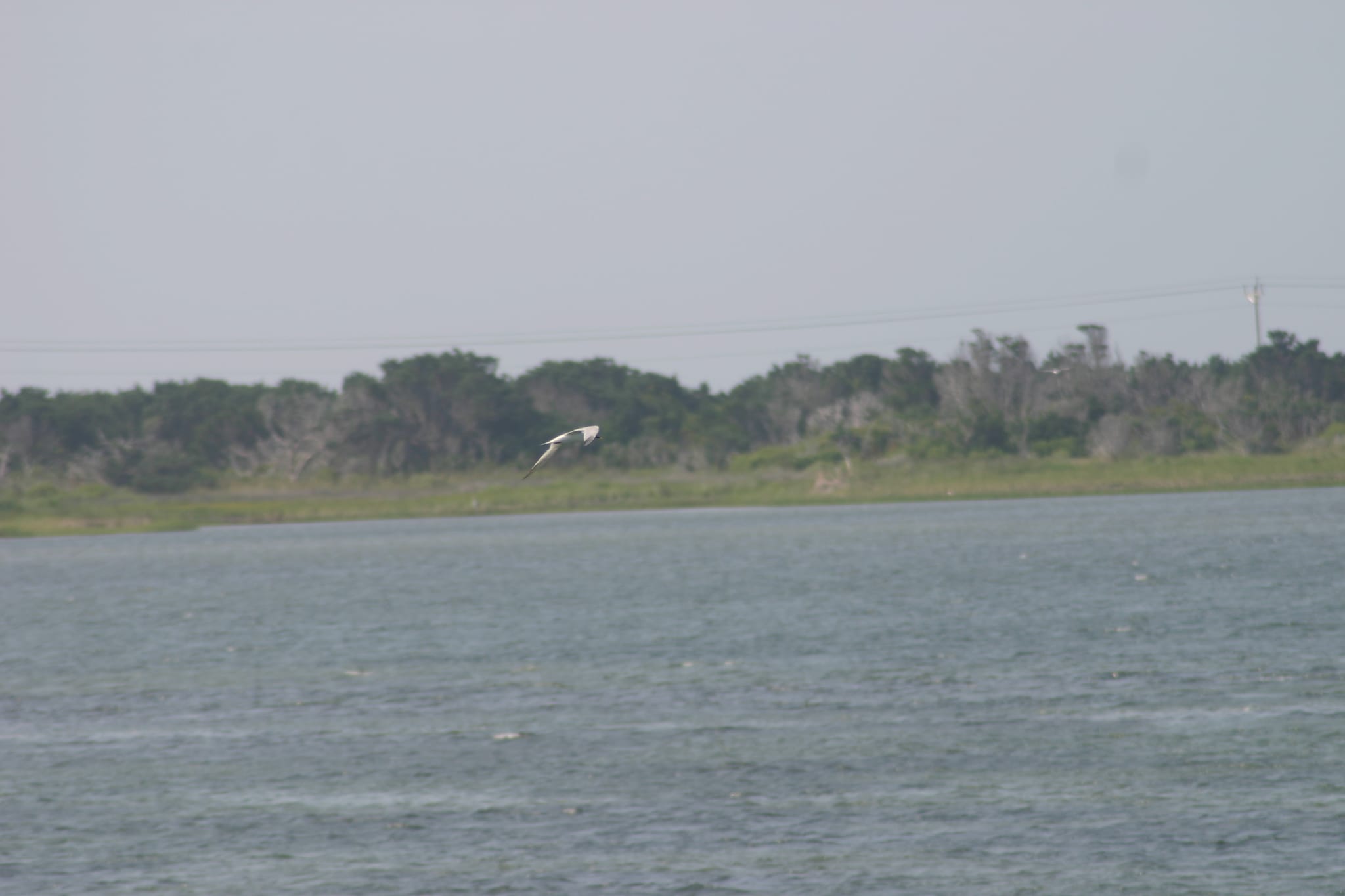 Ocracoke Island Day Excursion 006