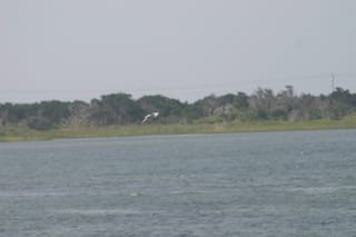 Ocracoke Island Day Excursion 006