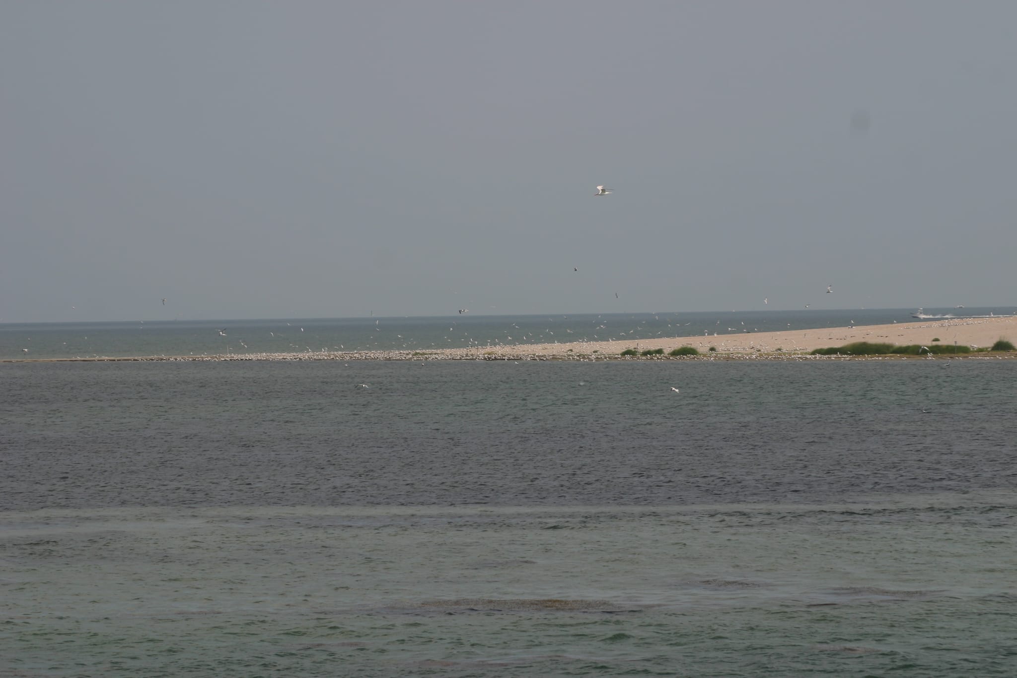 Ocracoke Island Day Excursion 010