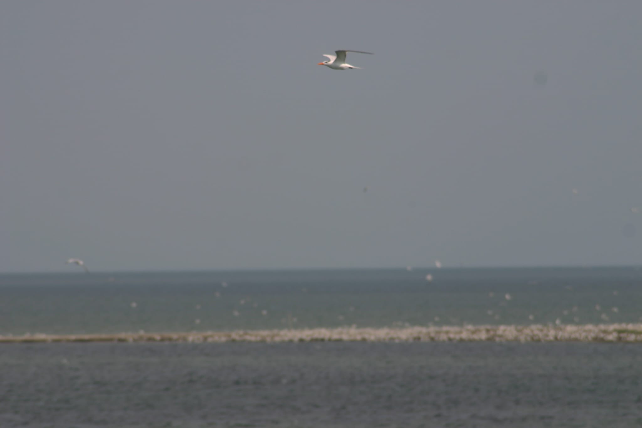 Ocracoke Island Day Excursion 011