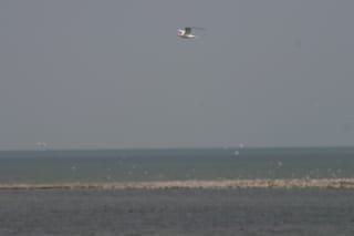 Ocracoke Island Day Excursion 011