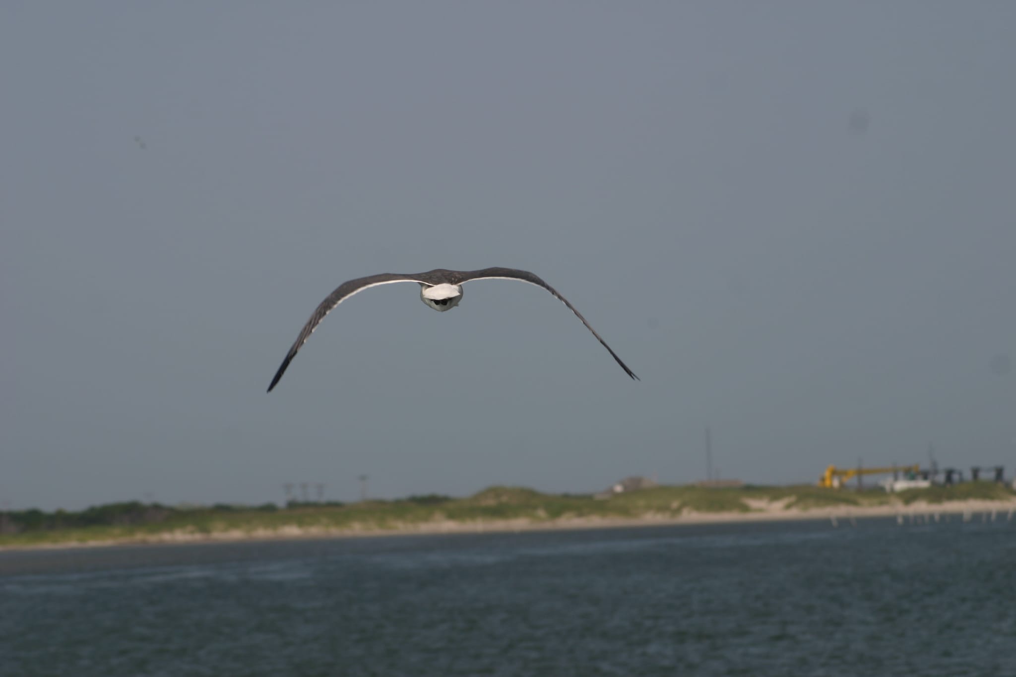 Ocracoke Island Day Excursion 048