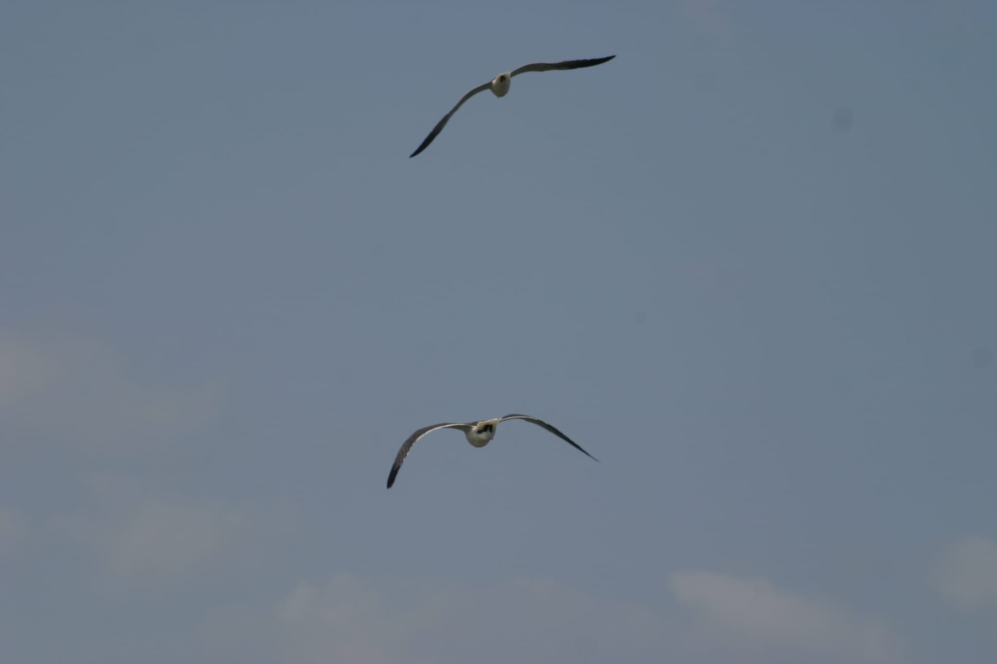 Ocracoke Island Day Excursion 050