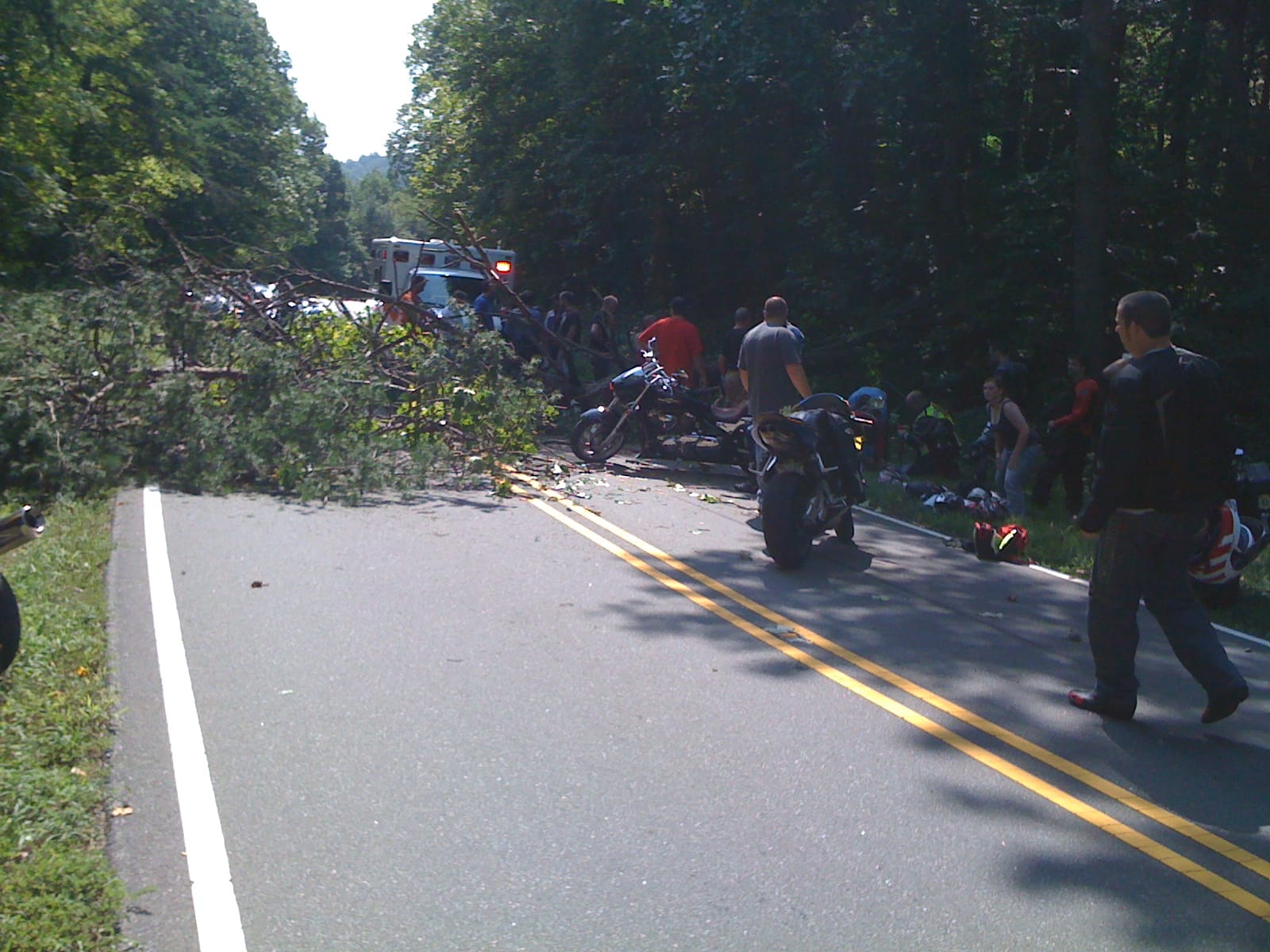 Sunday Ride - When trees attack