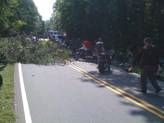 Sunday Ride - When trees attack