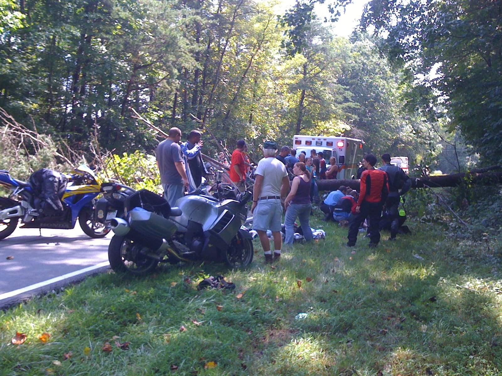 Sunday Ride - When trees attack