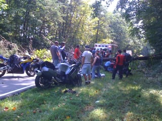 Sunday Ride - When trees attack