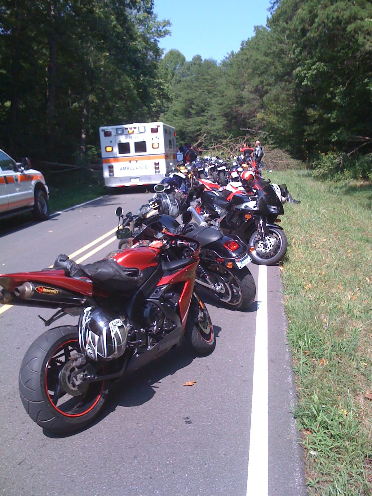 Sunday Ride - When trees attack