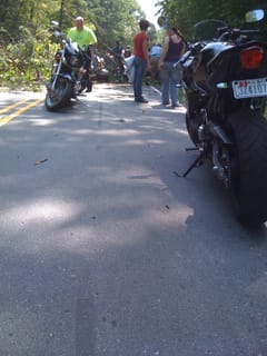 Sunday Ride - tree fall