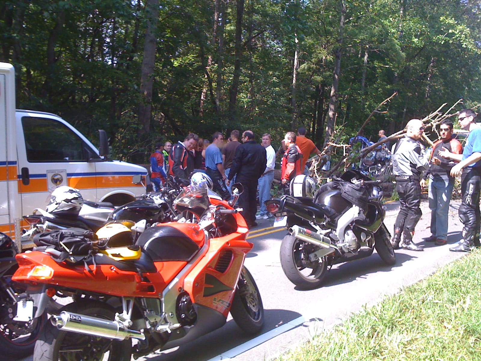 Sunday Ride - When trees attack