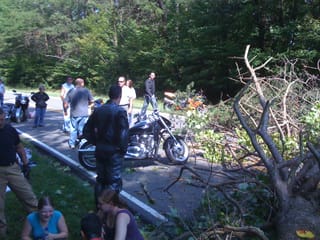 Sunday Ride - tree fall