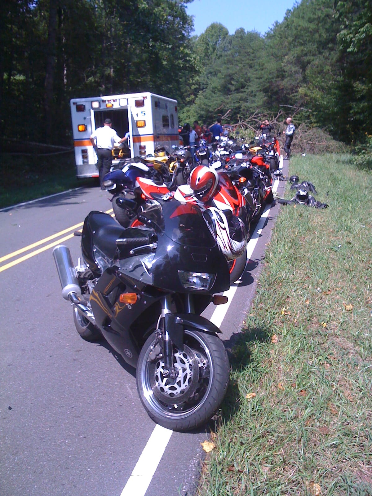 Sunday Ride - tree fall