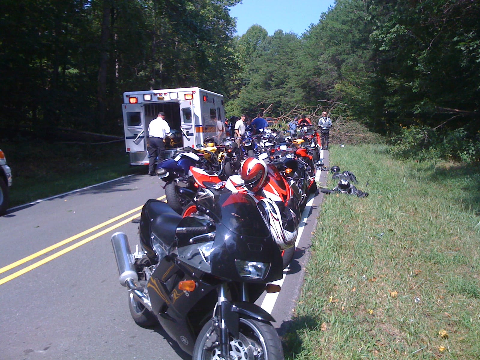 Sunday Ride - tree fall