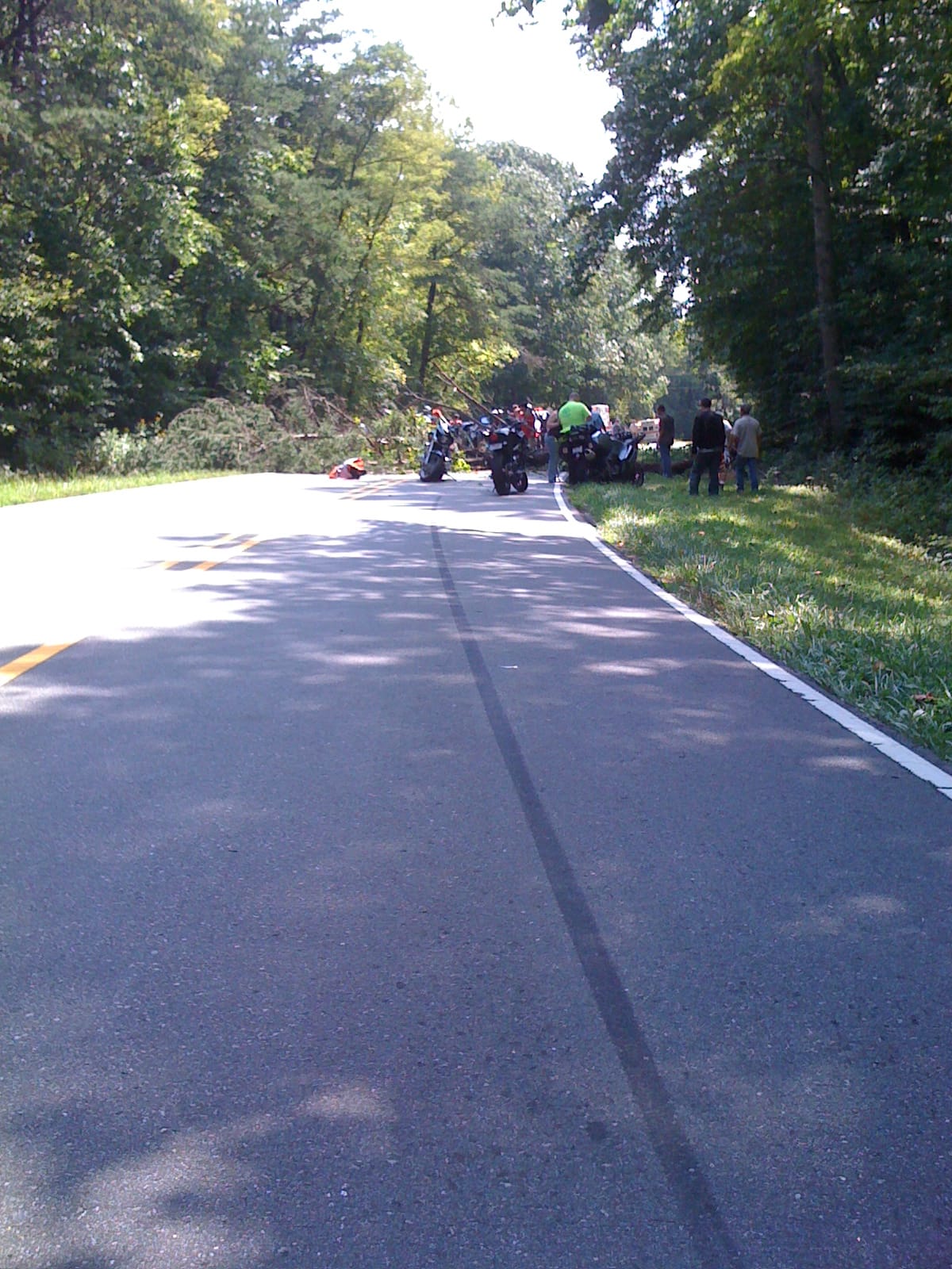 Sunday Ride - tree fall