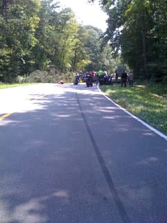 Sunday Ride - tree fall