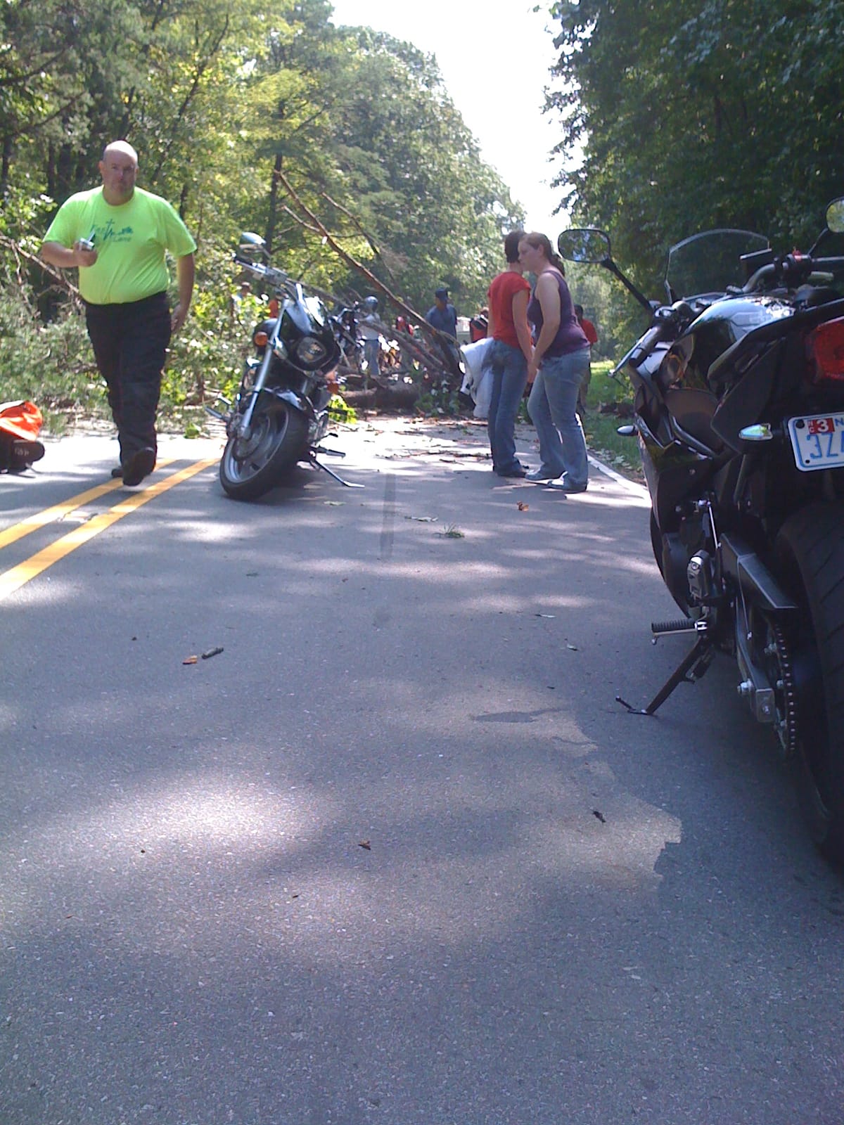 Sunday Ride - tree fall