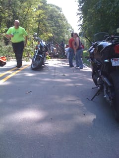 Sunday Ride - tree fall