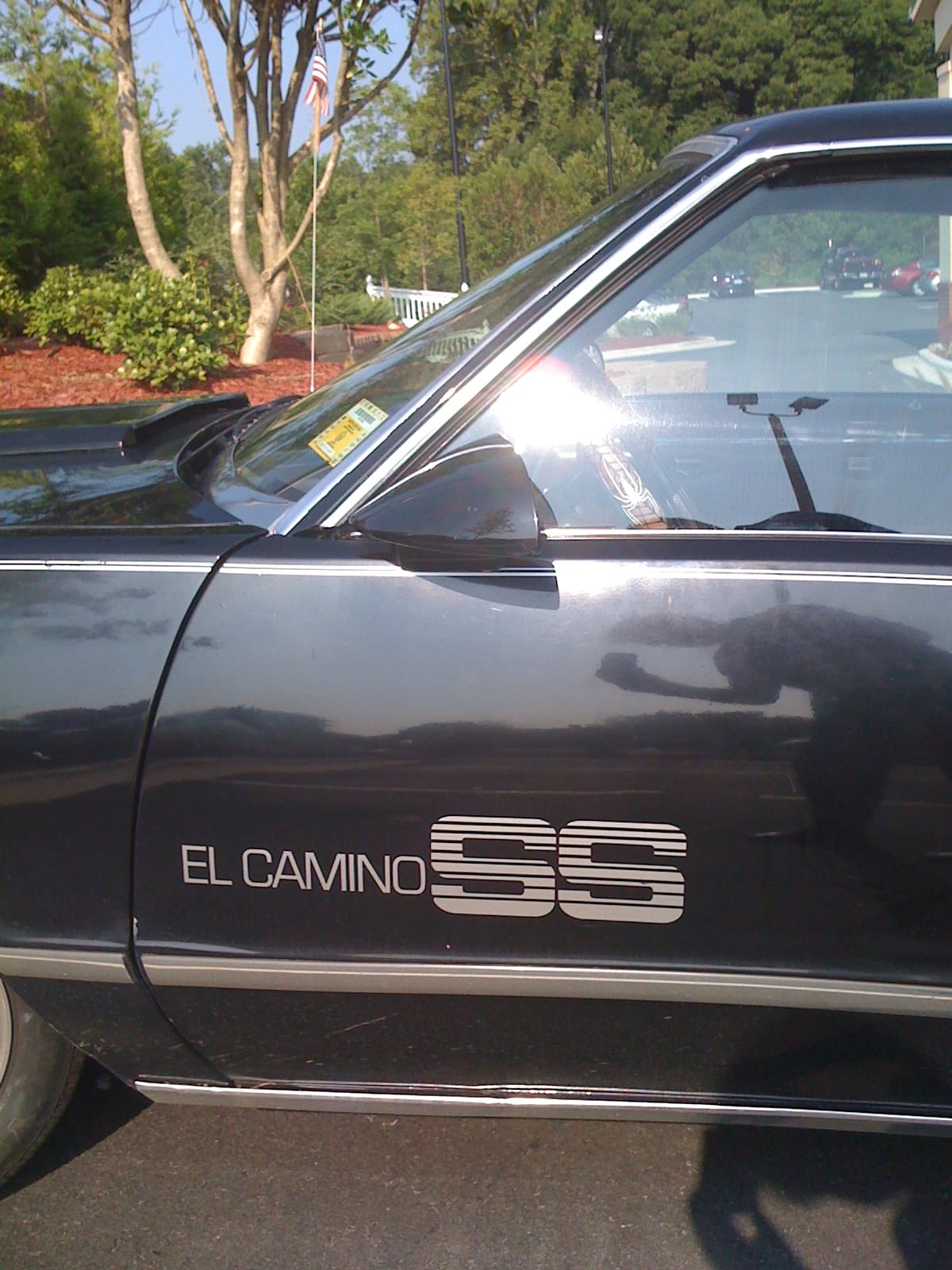 El Camino!