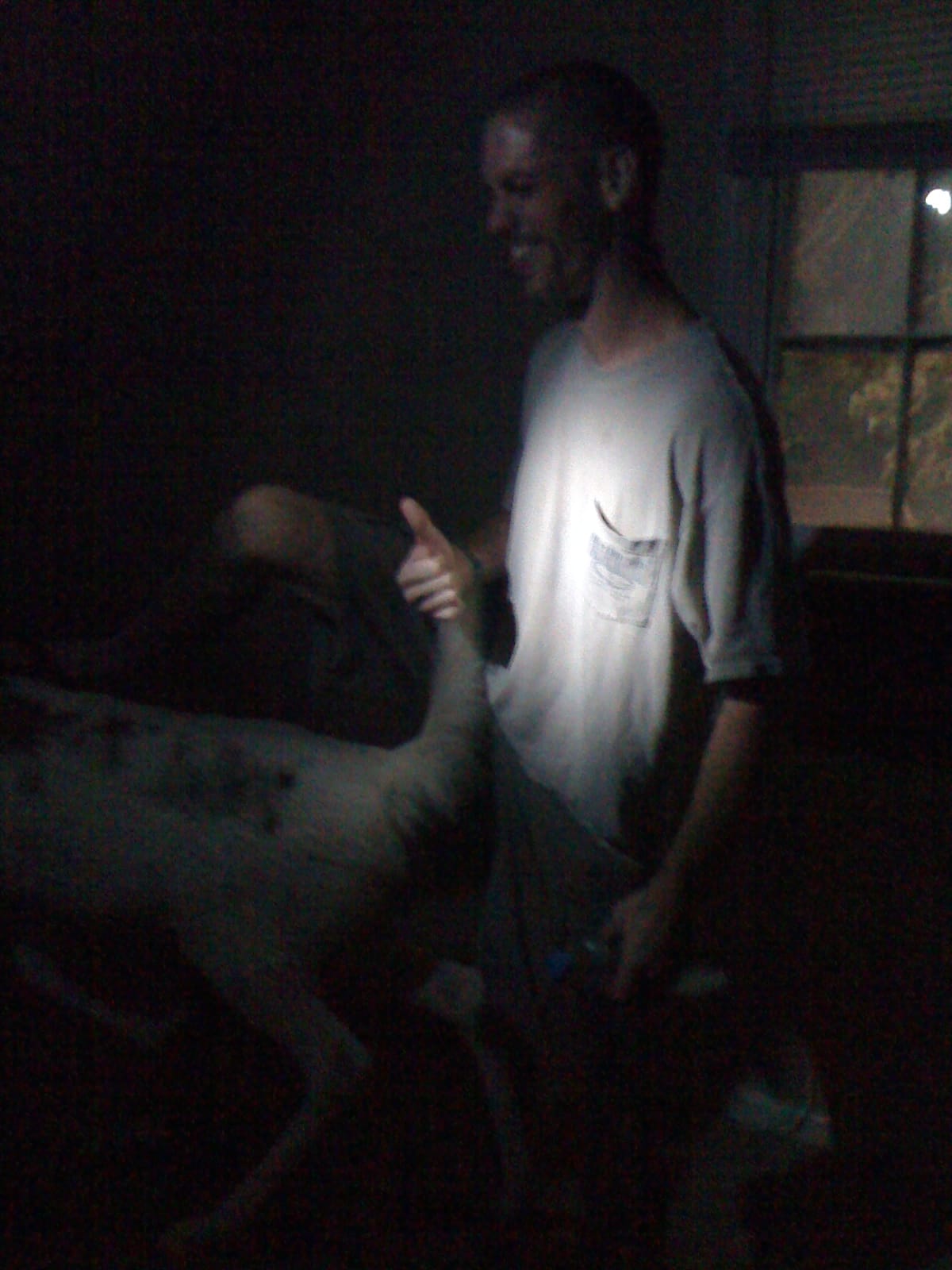 Random Deer in the remodel house