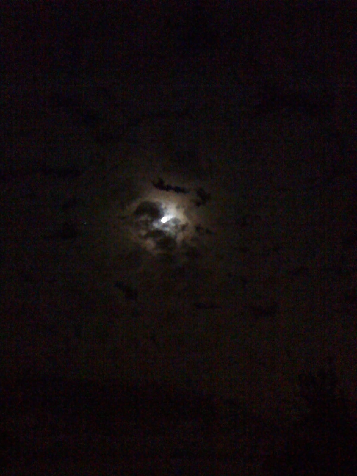 Moonlight