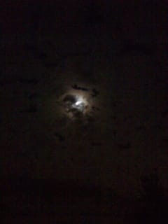 Moonlight