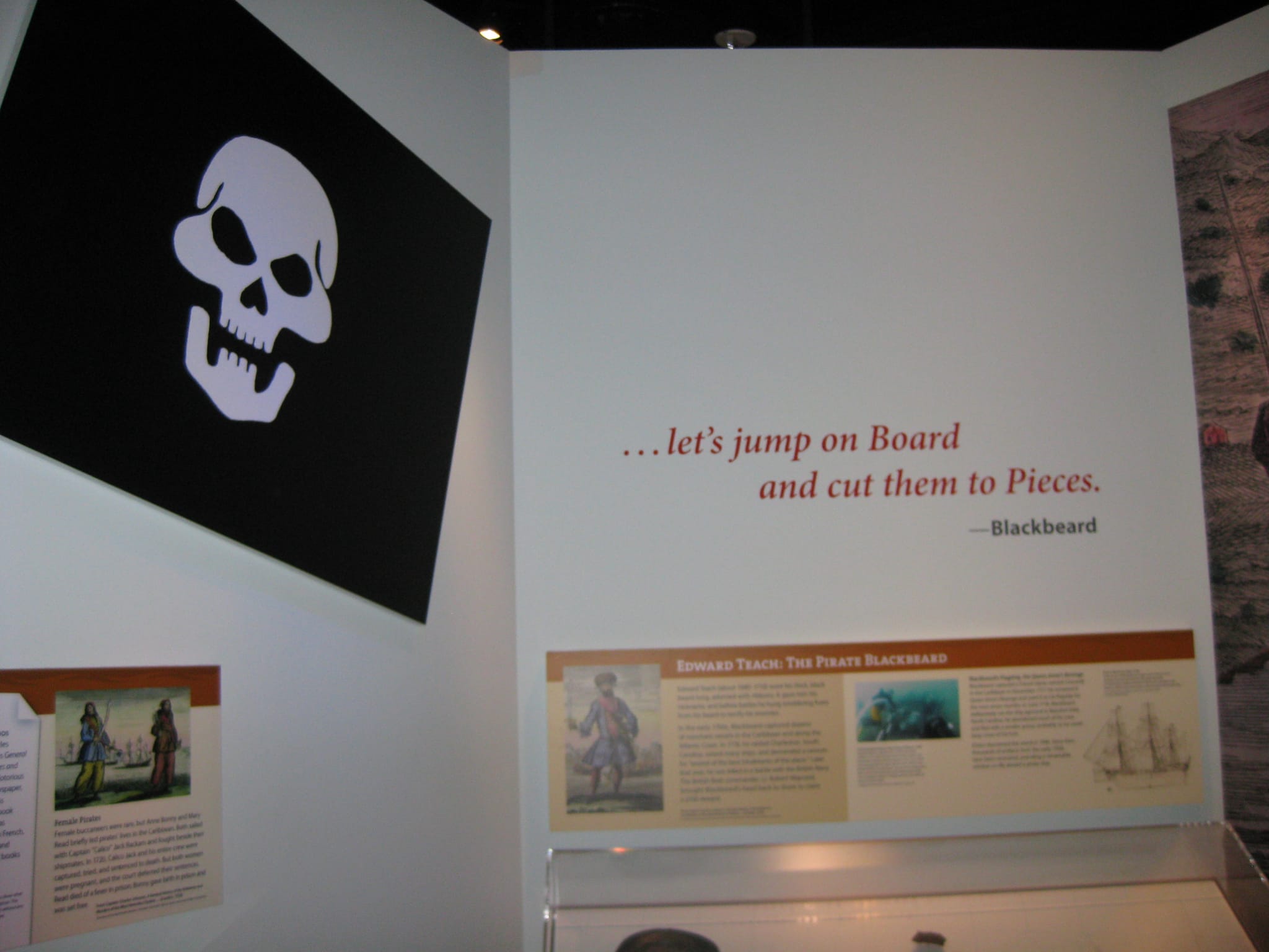 Blackbeard the Pirate - Natural History Smithsonian - Washington, DC