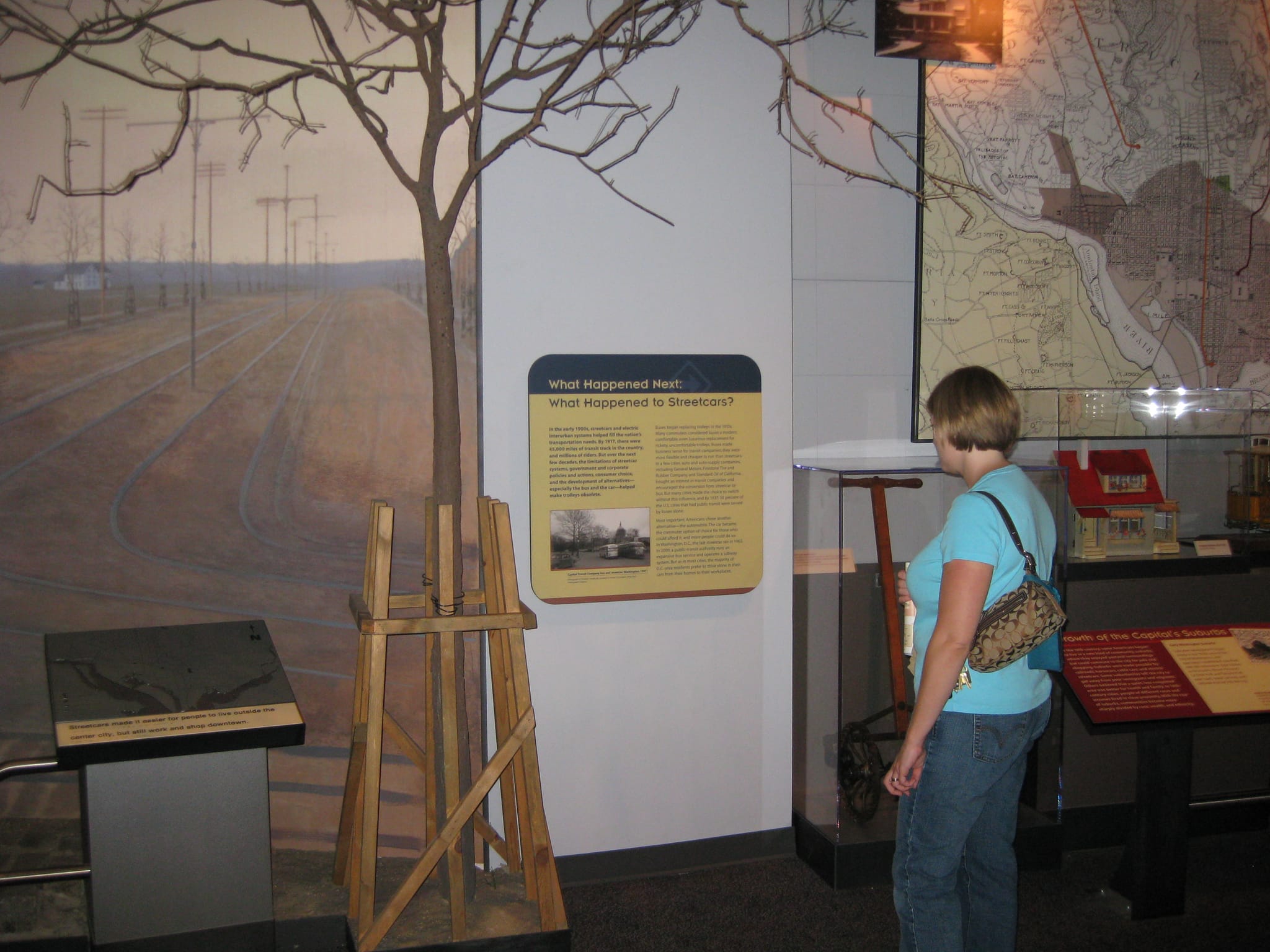 Erin - Natural History Smithsonian - Washington, DC