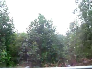 Driving back from Hot Springs, NC