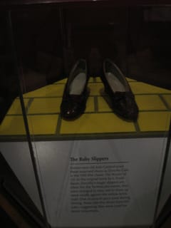 Ruby Slippers - Natural History Smithsonian - Washington, DC