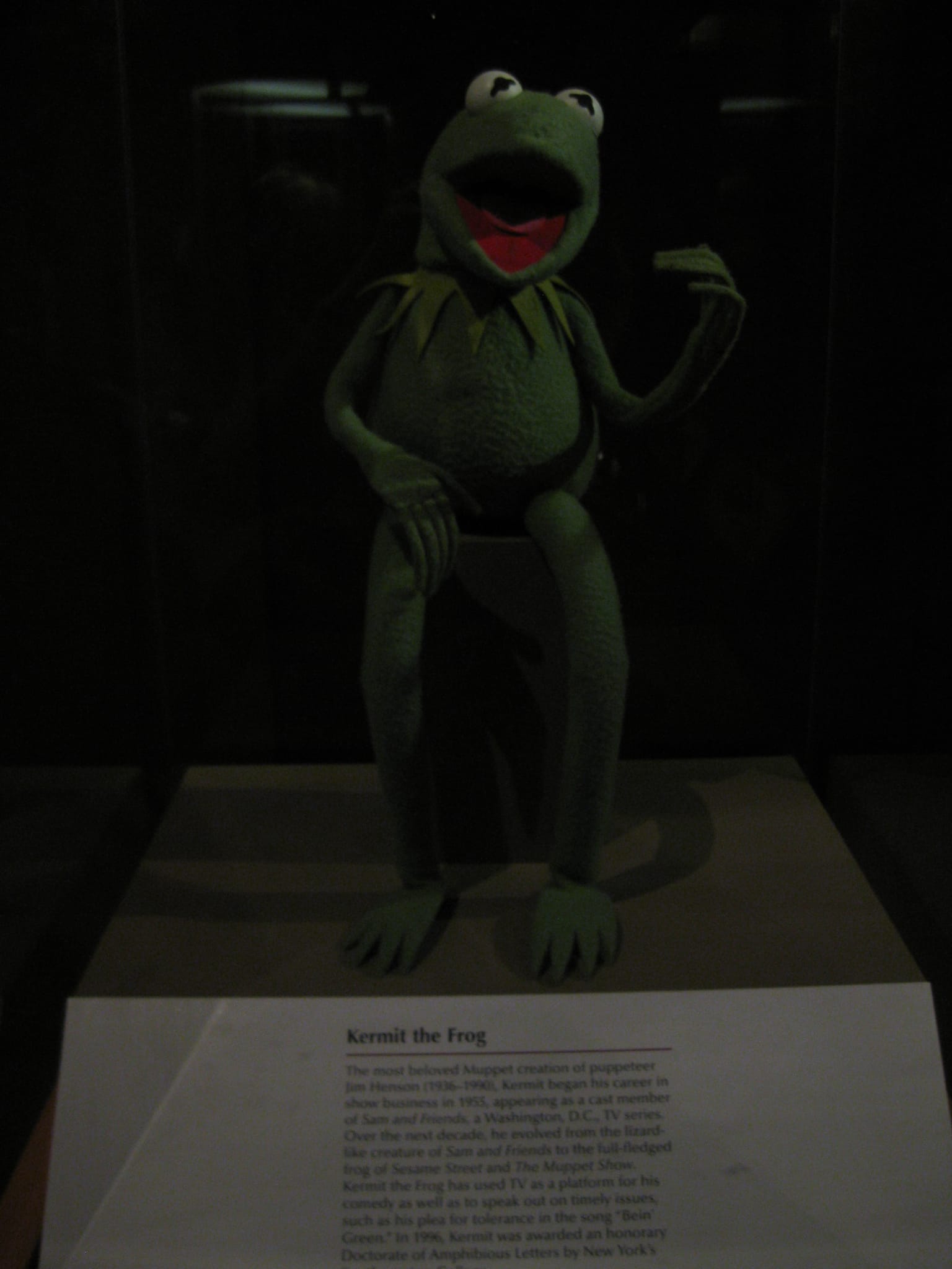 Kermit the Frog - Natural History Smithsonian - Washington, DC