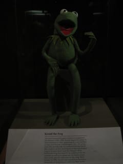 Kermit the Frog - Natural History Smithsonian - Washington, DC
