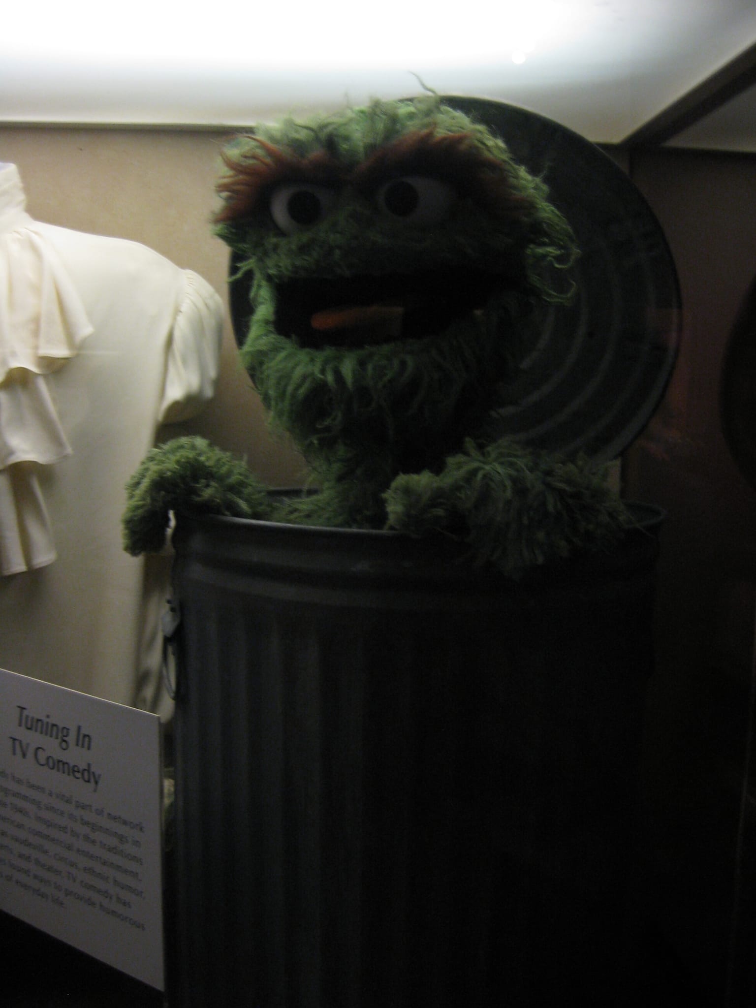 Oscar the Grouch - Natural History Smithsonian - Washington, DC