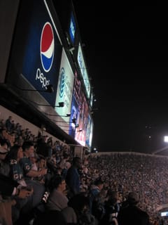 Panthers vs. Dolphins 036