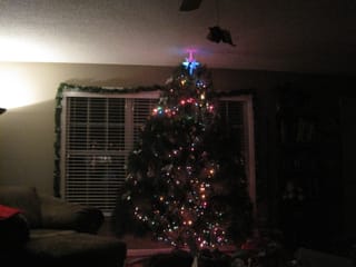 Christmas Tree on Christmas Eve