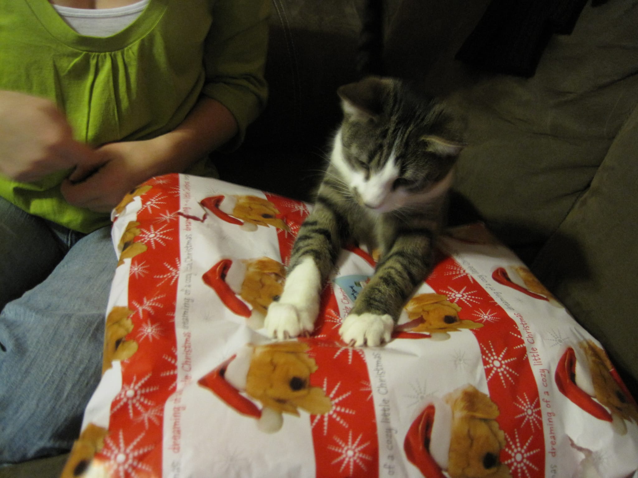Brasky opening his dead rat pillow