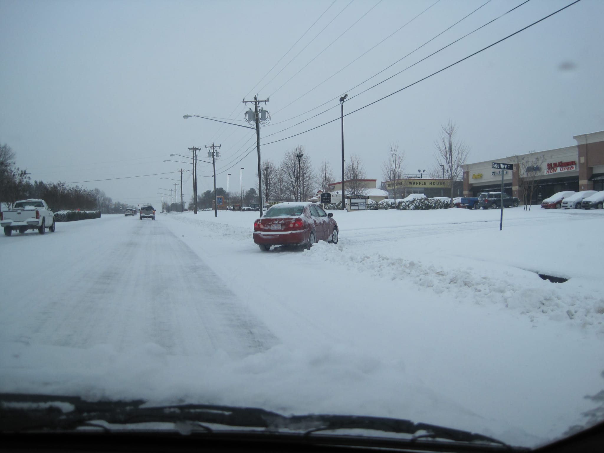 Snowpocalypse 2010 006