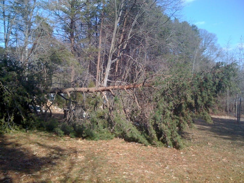 If a tree falls in the backyard and you don't notice it, did it fall?