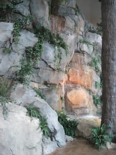 IMG_6334.JPG
