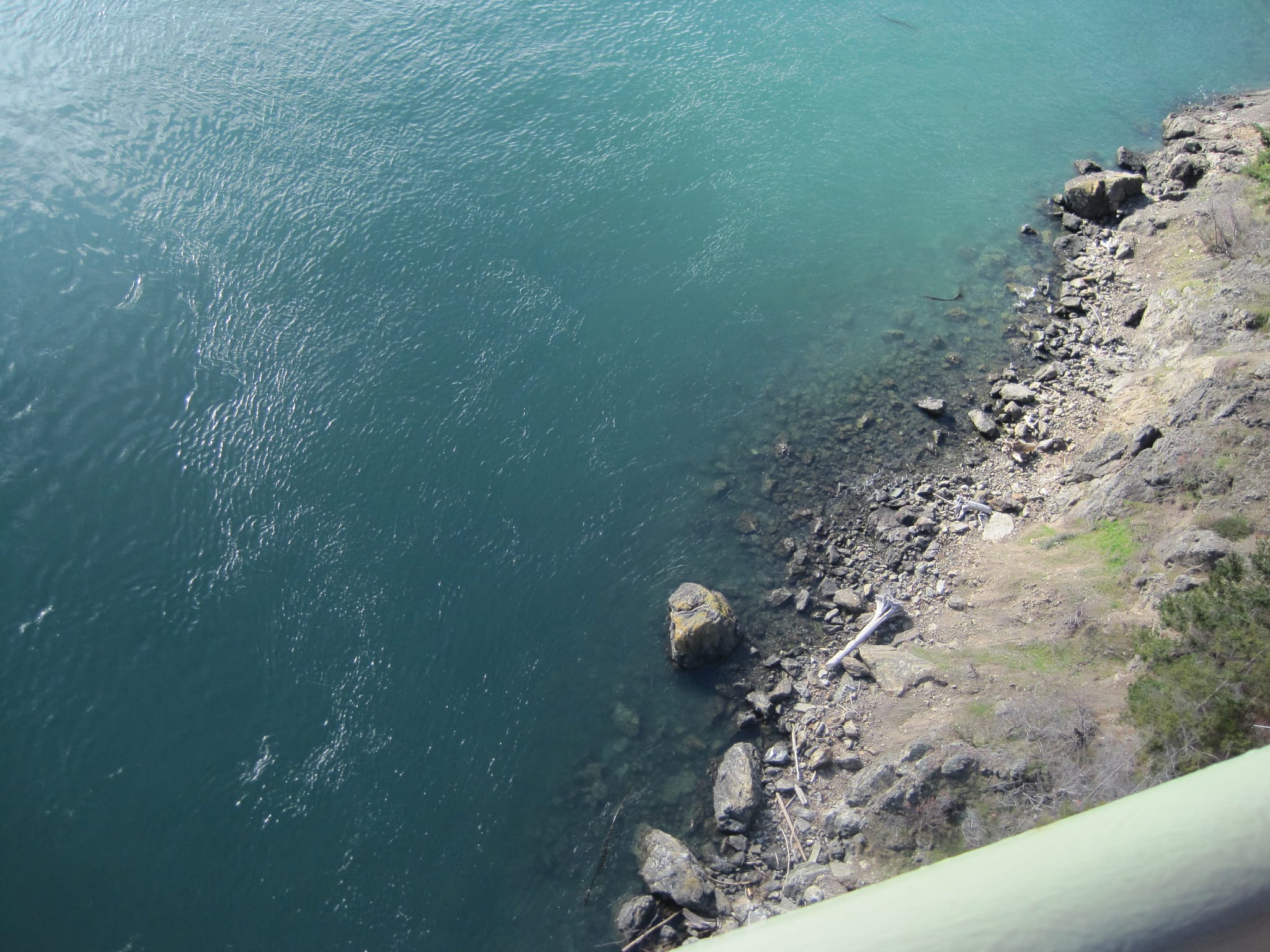 Exploring Puget sound 070