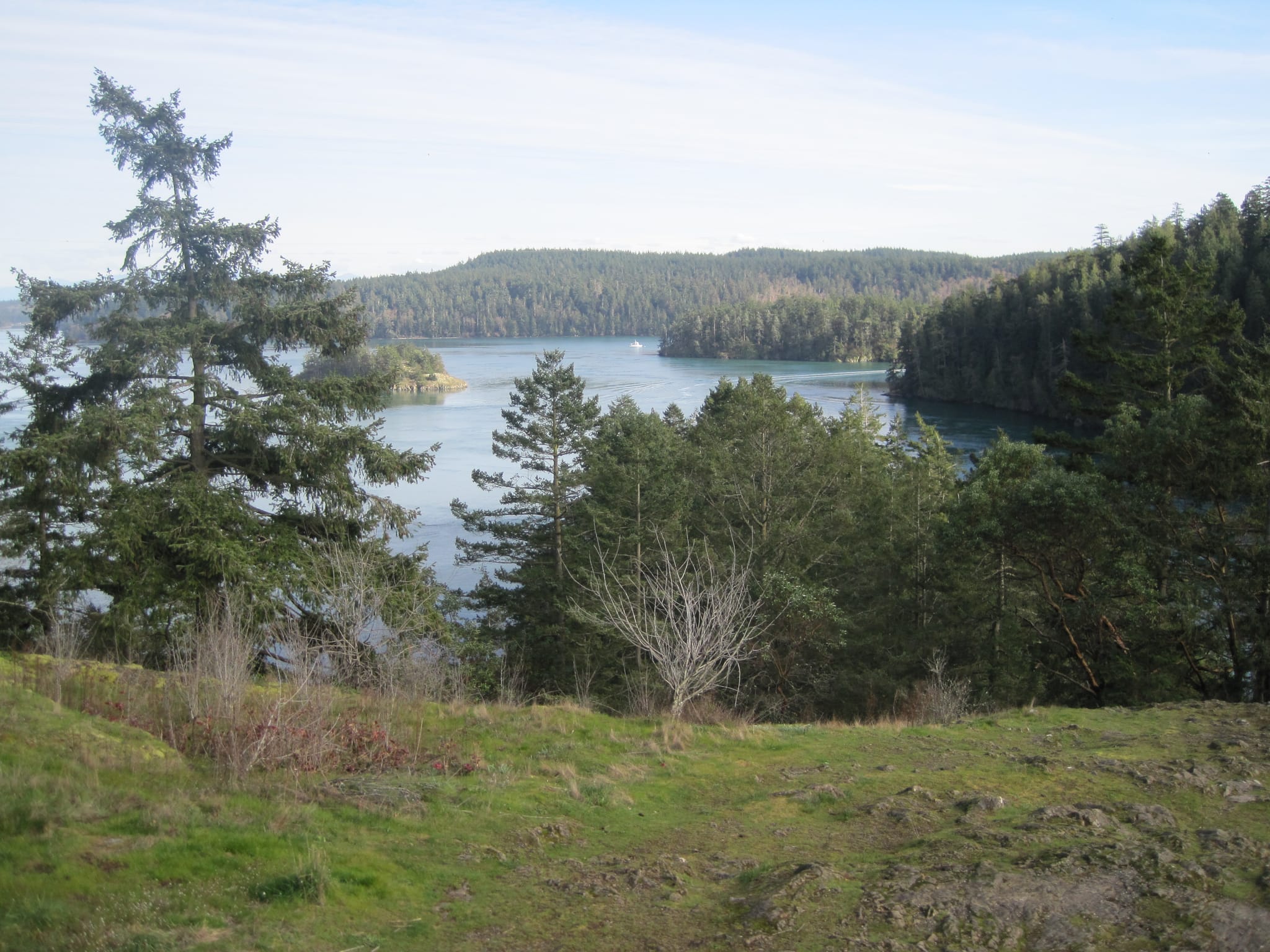 Exploring Puget sound 089