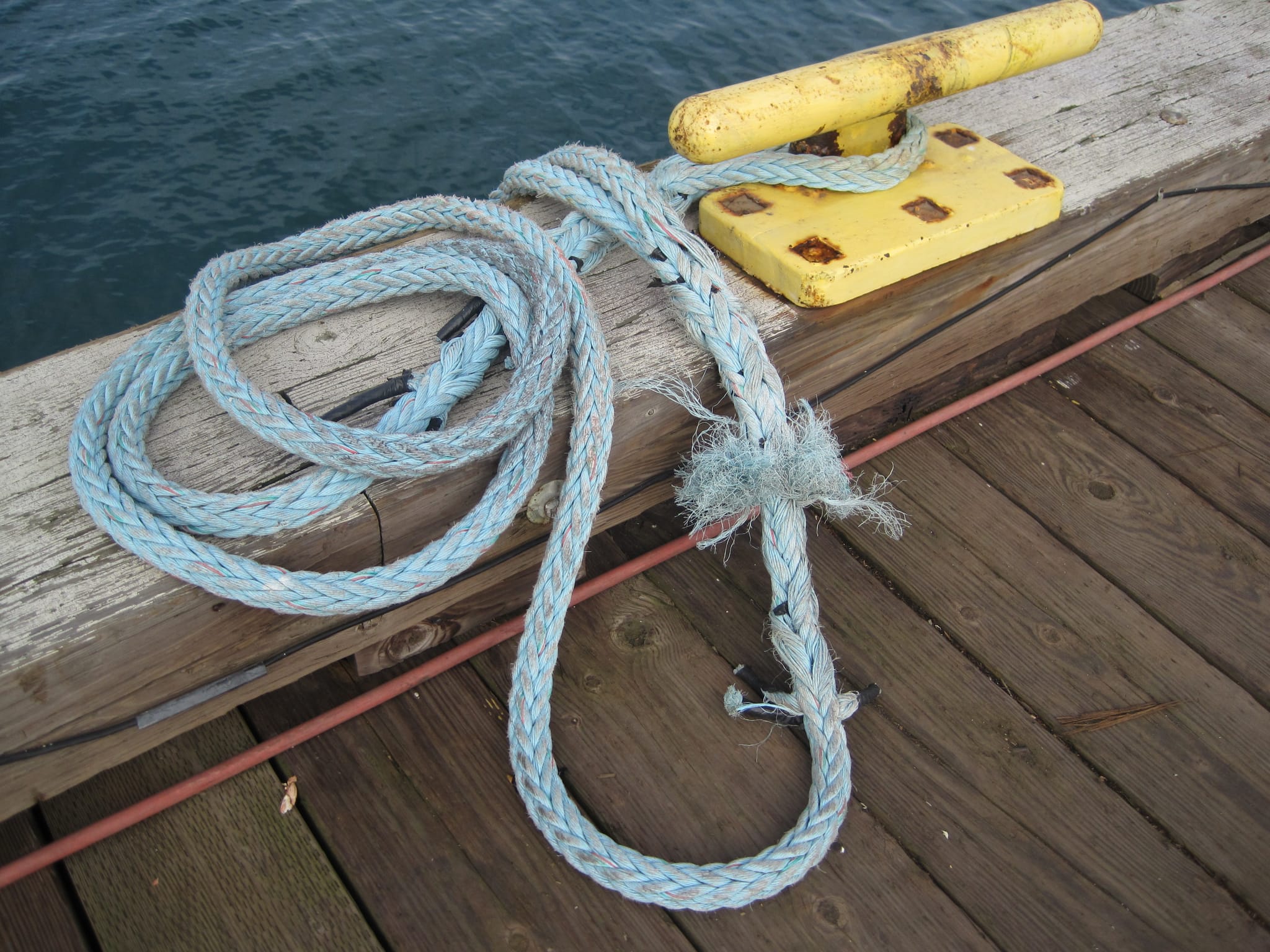 Exploring Puget sound 028