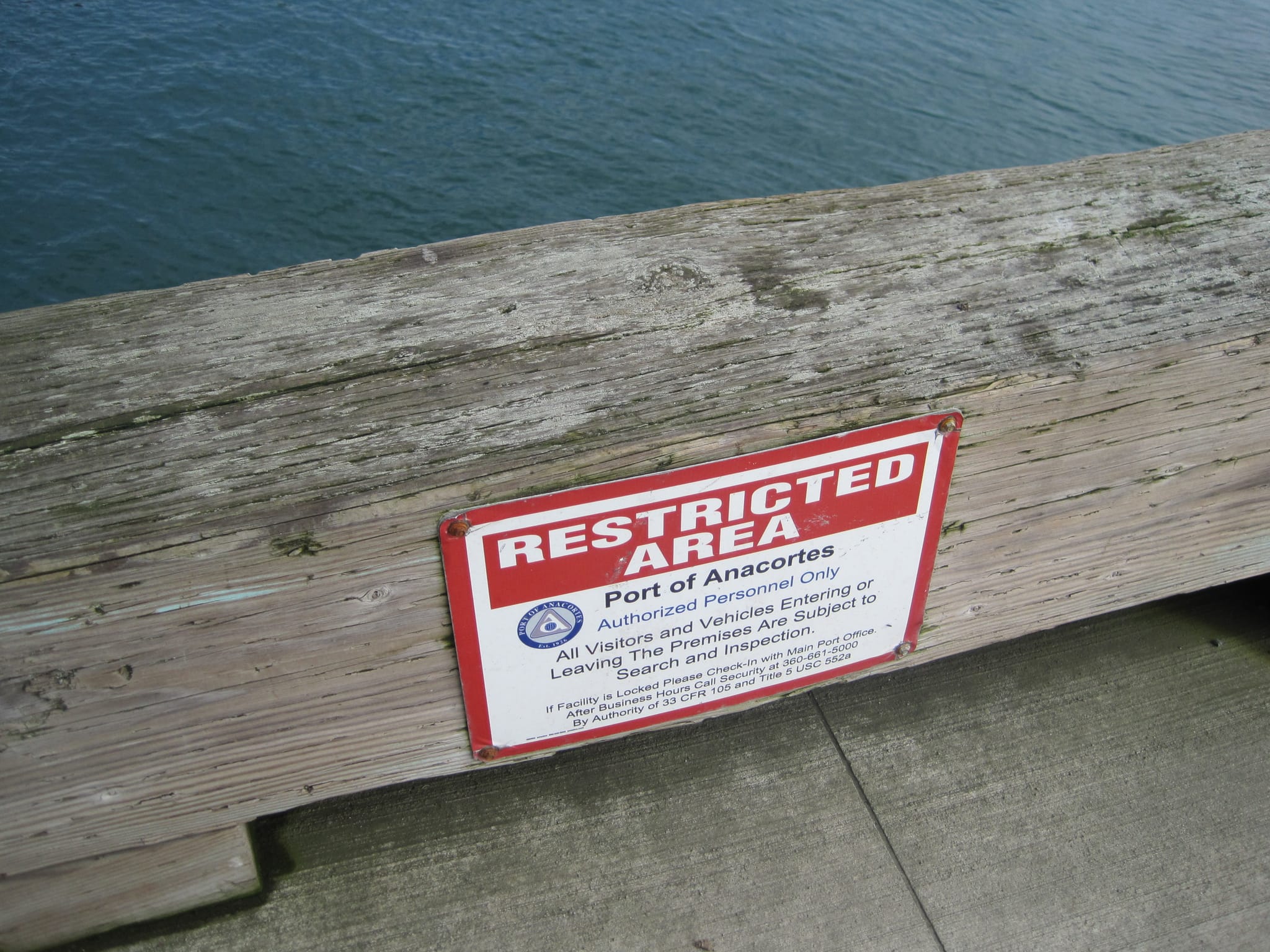 Exploring Puget sound 039