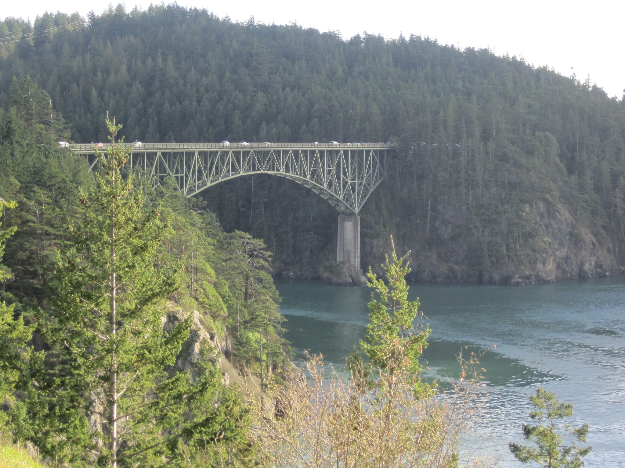 Exploring Puget sound 059