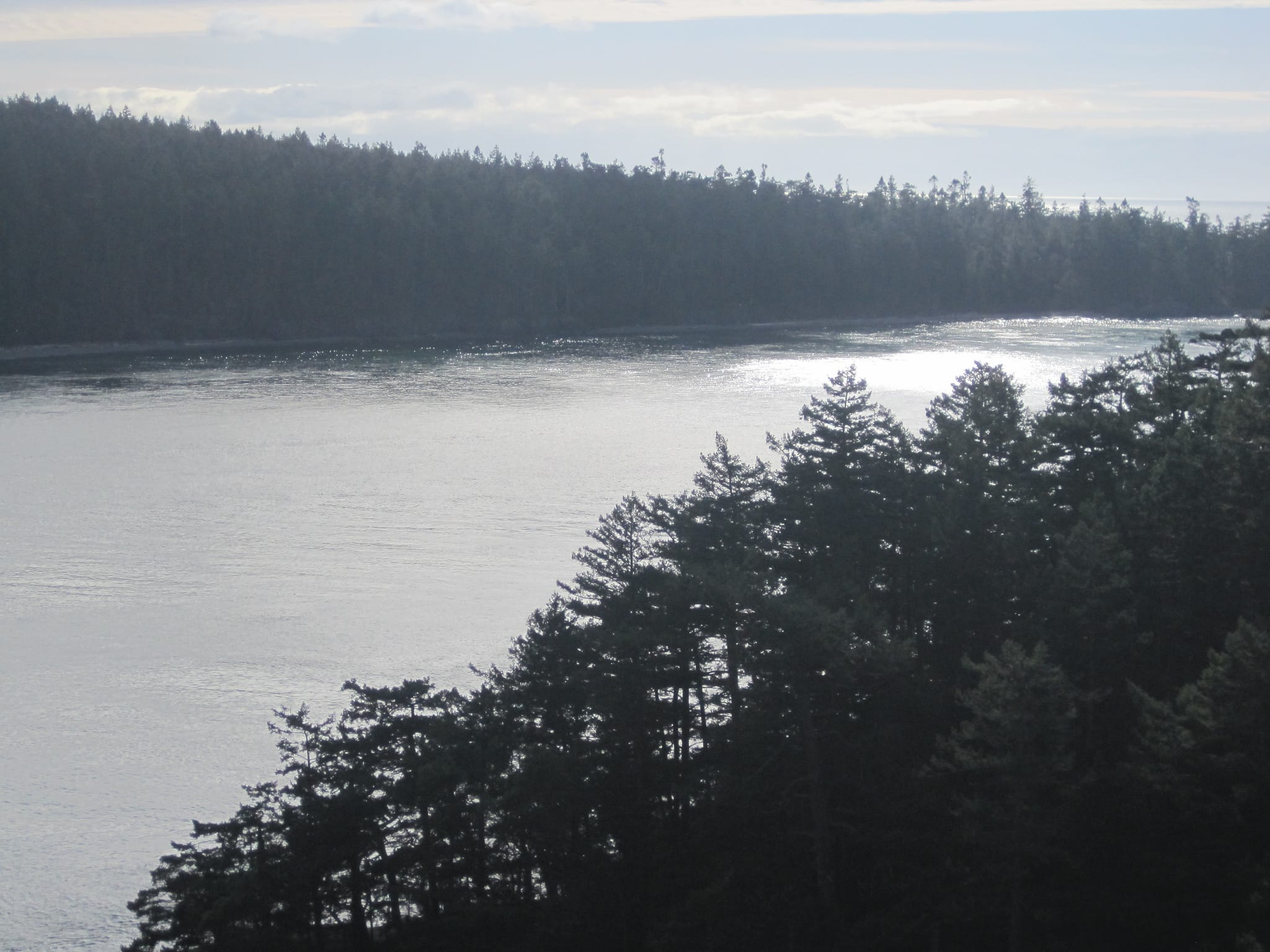 Exploring Puget sound 060