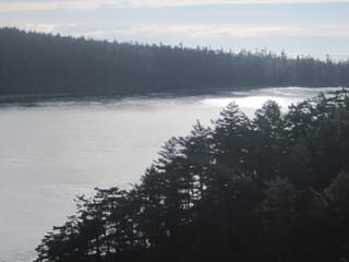 Exploring Puget sound 060