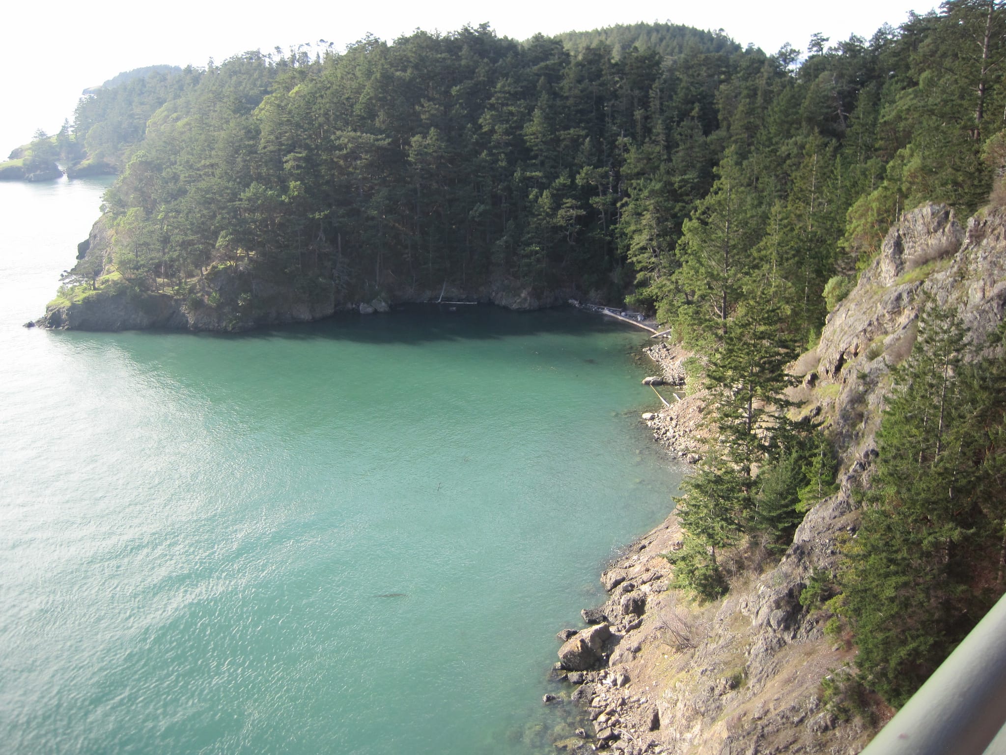 Exploring Puget sound 069